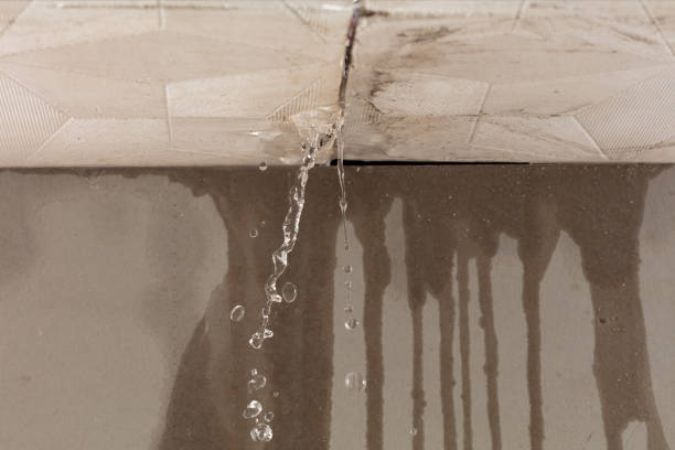 Professional Sewage Cleanup technician working in Englewood Cliffs, NJ